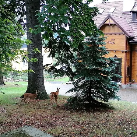 Nimfa Na Wyłączność Na Zapytanie Willa *